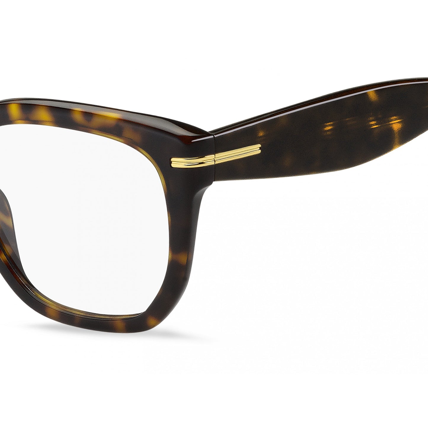 Hugo Boss BOSS 1734