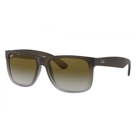 Ray-Ban 0RB4165