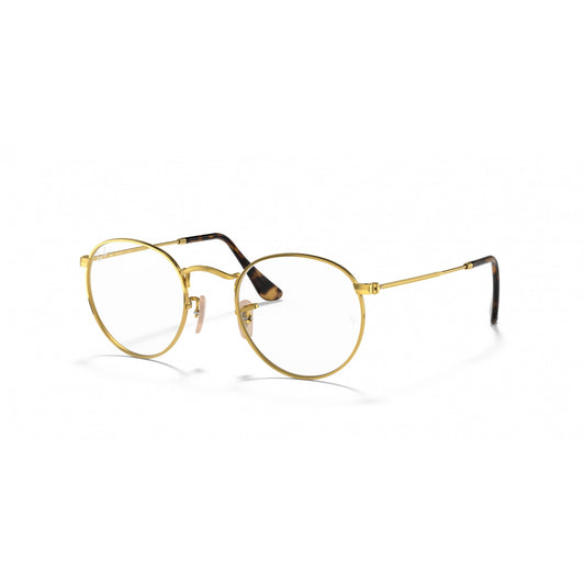 Ray-Ban 0RX3447V