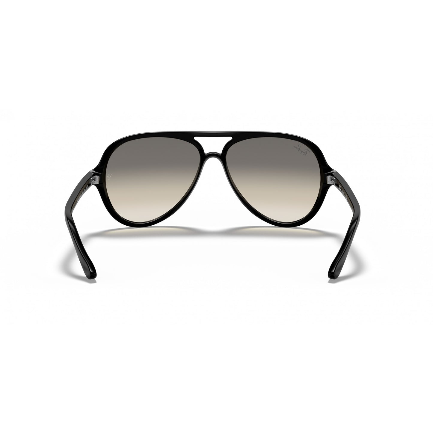 Ray-Ban 0RB4125