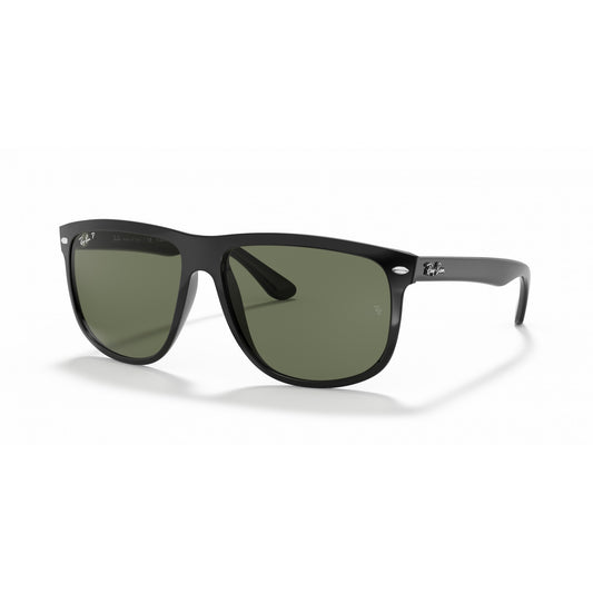 Ray-Ban 0RB4147