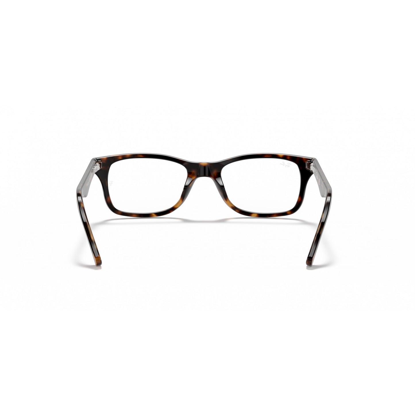 Ray-Ban 0RX5228