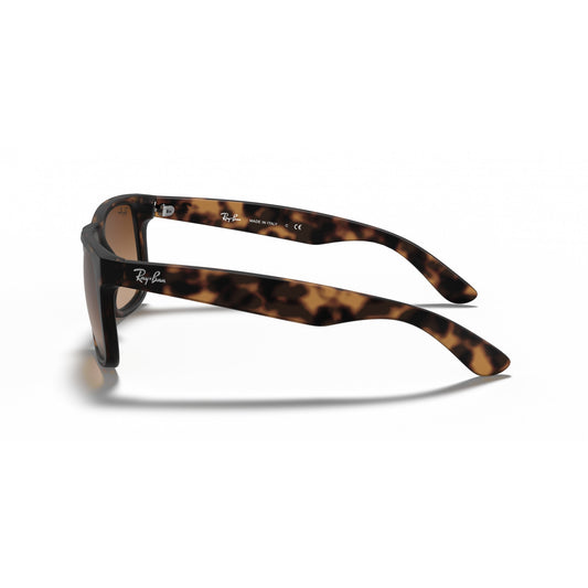 Ray-Ban 0RB4165