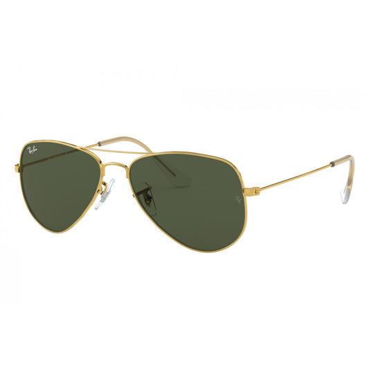 Ray-Ban 0RB3044