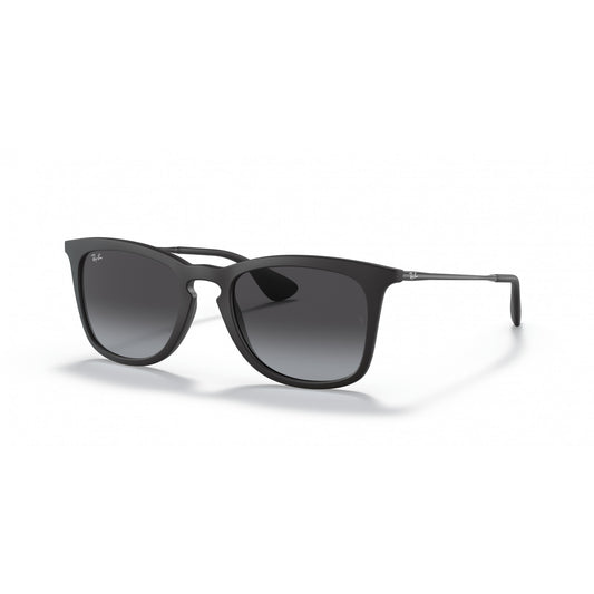 Ray-Ban 0RB4221