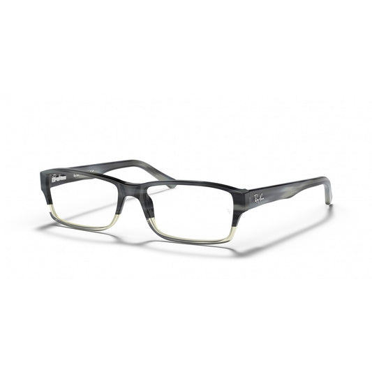 Ray-Ban 0RX5169