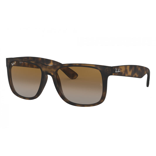 Ray-Ban 0RB4165