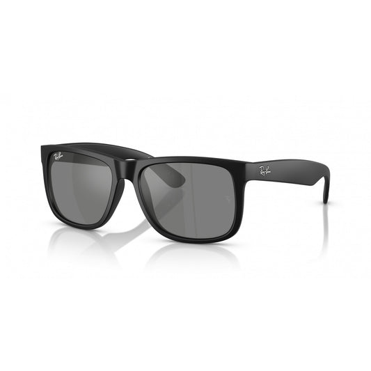 Ray-Ban 0RB4165F