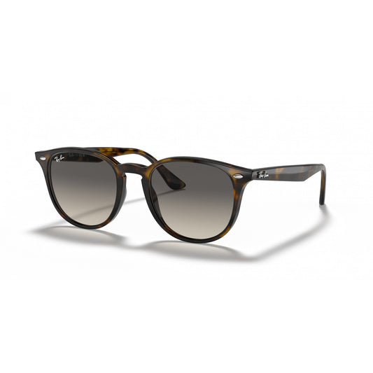 Ray-Ban 0RB4259