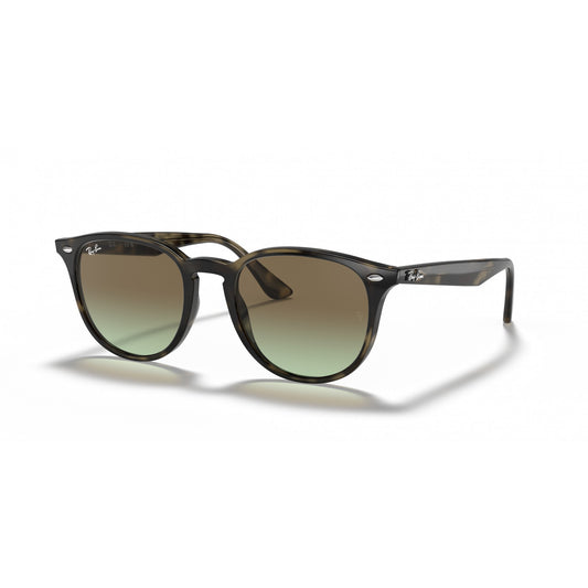 Ray-Ban 0RB4259