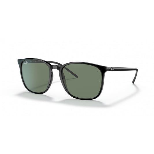 Ray-Ban 0RB4387F
