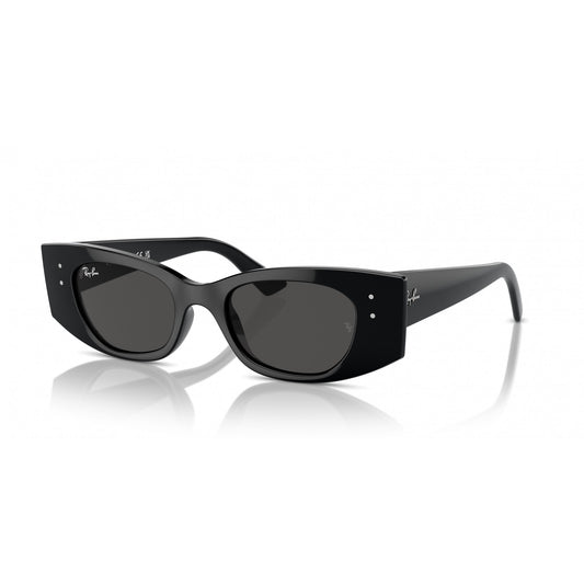 Ray-Ban 0RB4427
