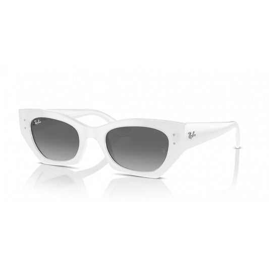 Ray-Ban 0RB4430