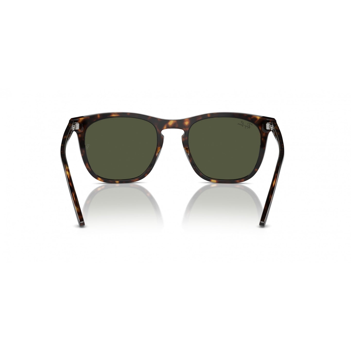 Ray-Ban 0RB2210