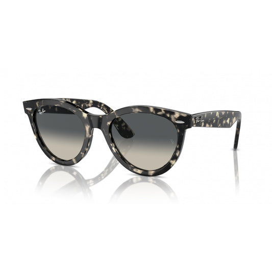 Ray-Ban 0RB2241