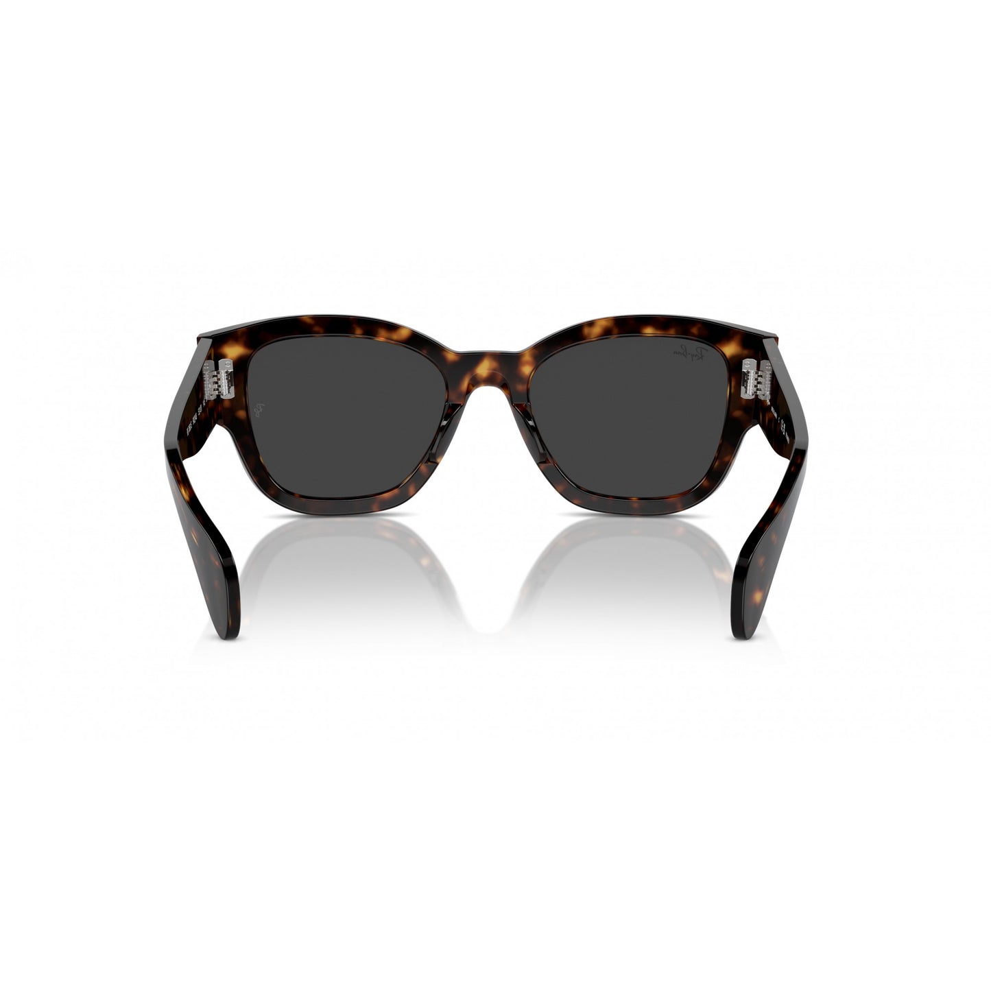 Ray-Ban 0RB7681S