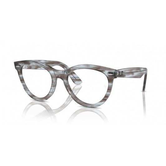 Ray-Ban 0RX2241V