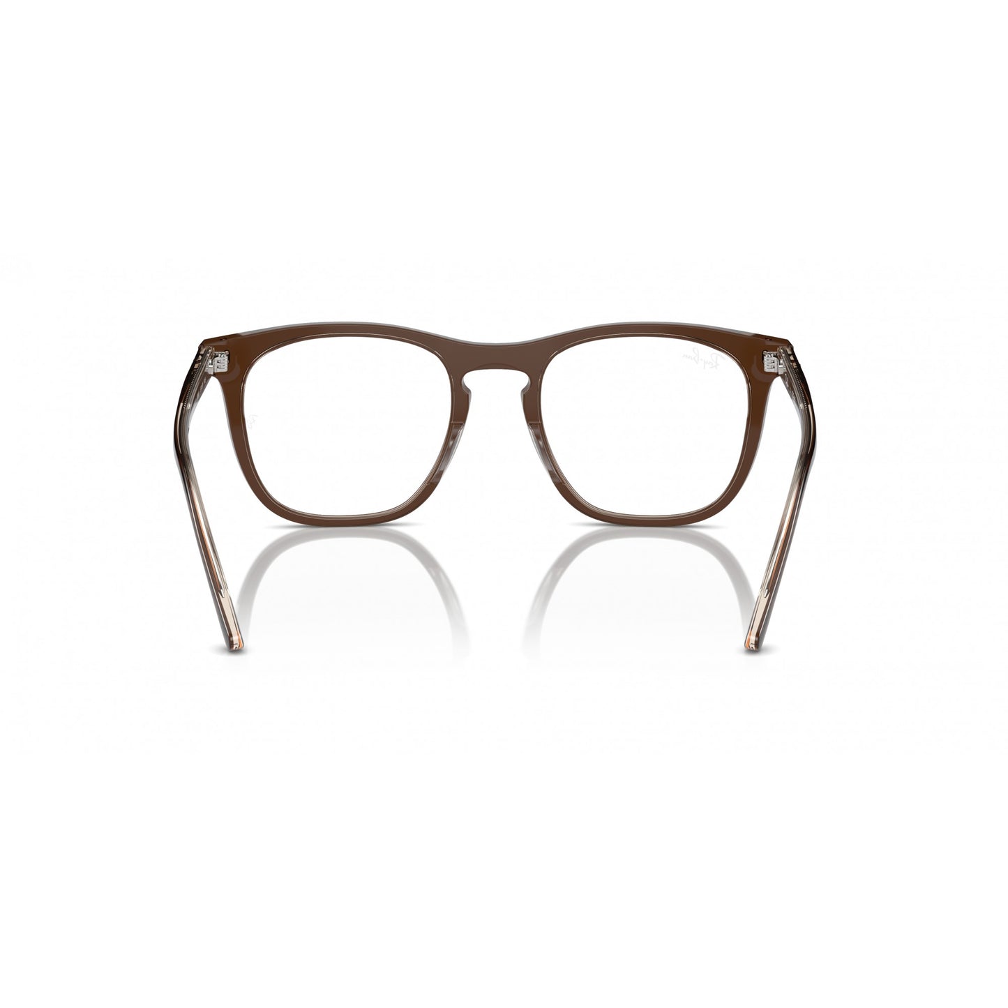 Ray-Ban 0RX2210V