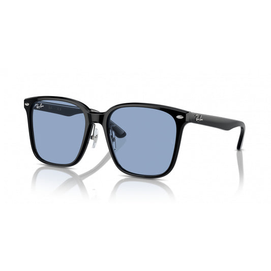 Ray-Ban 0RB2206D
