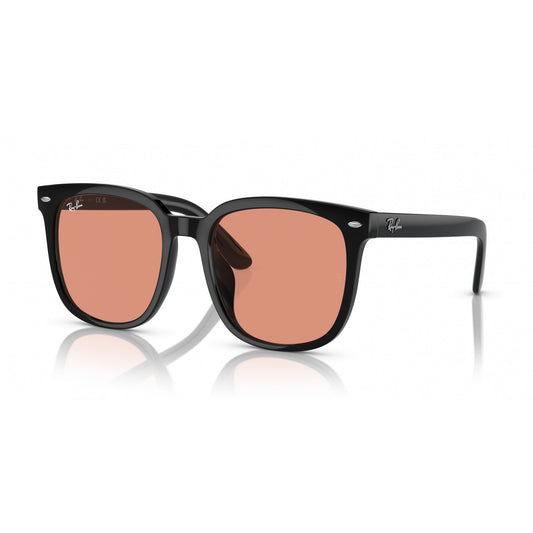 Ray-Ban 0RB4401D