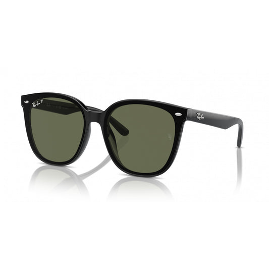 Ray-Ban 0RB4423D