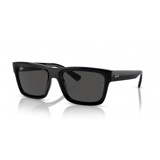 Ray-Ban 0RB4396
