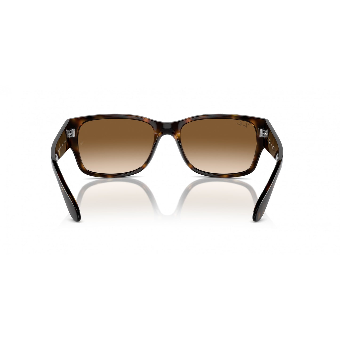 Ray-Ban 0RB4388