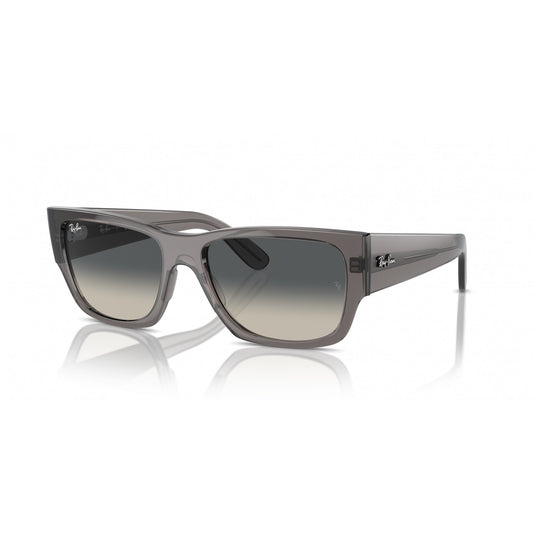 Ray-Ban 0RB0947S