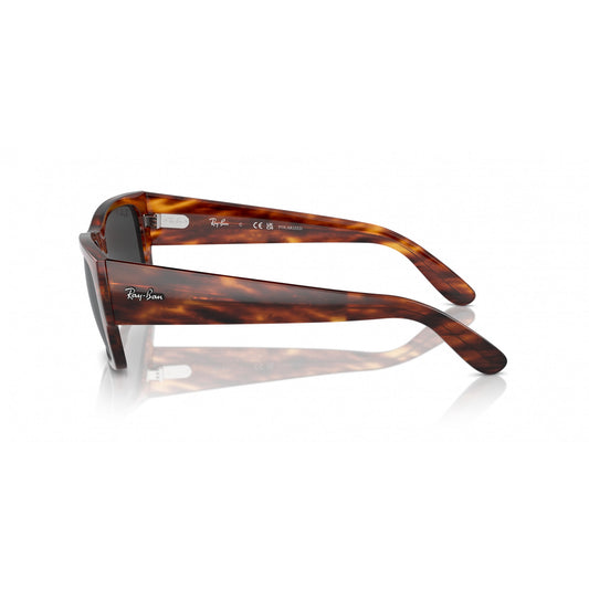 Ray-Ban 0RB0947S