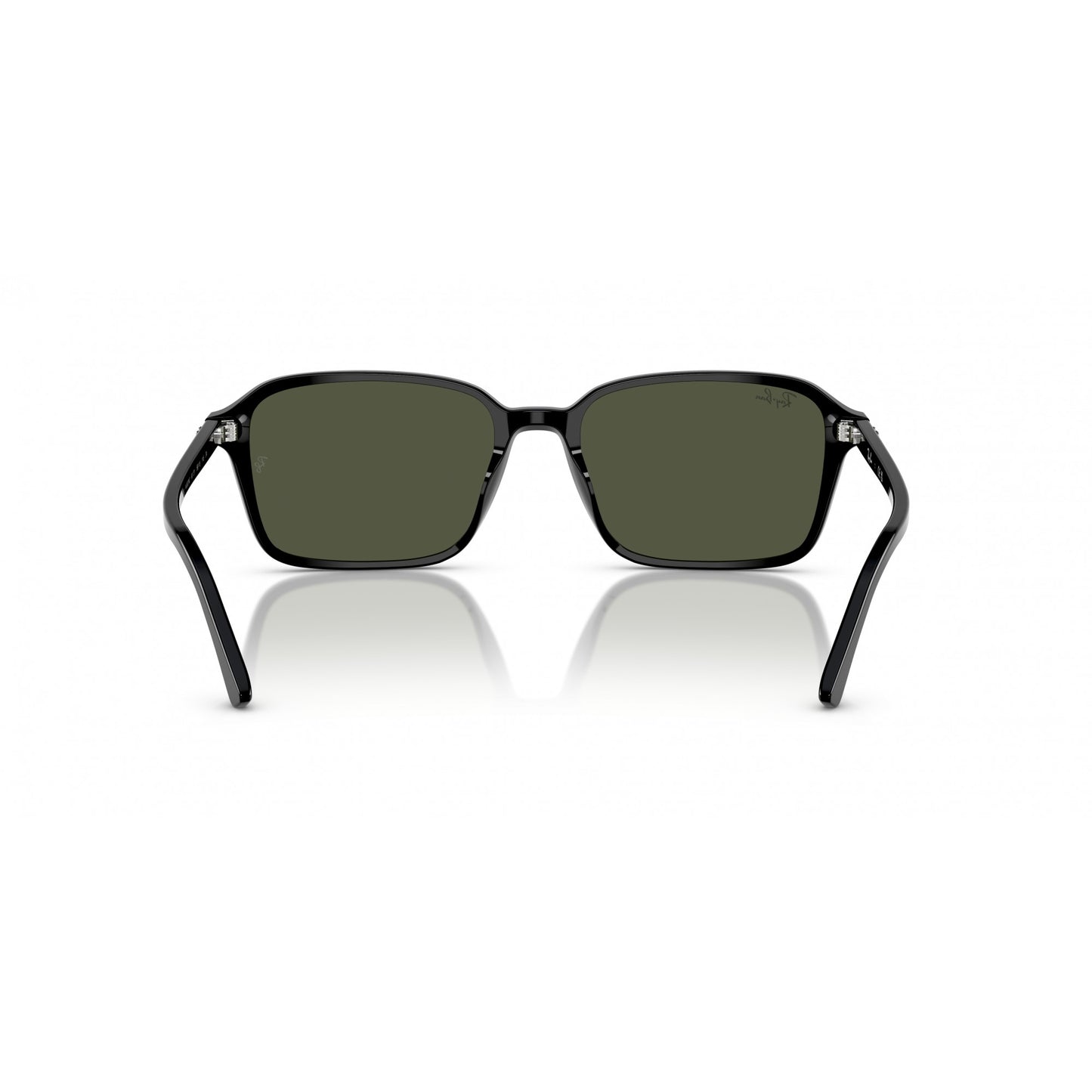 Ray-Ban 0RB2231