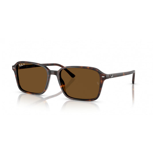 Ray-Ban 0RB2231