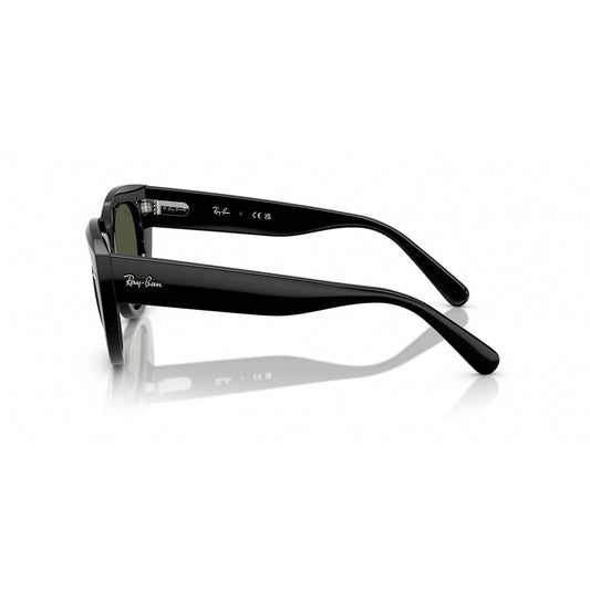 Ray-Ban 0RB2286
