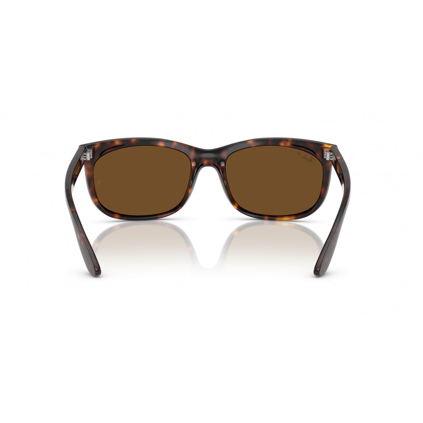 Ray-Ban 0RB2389