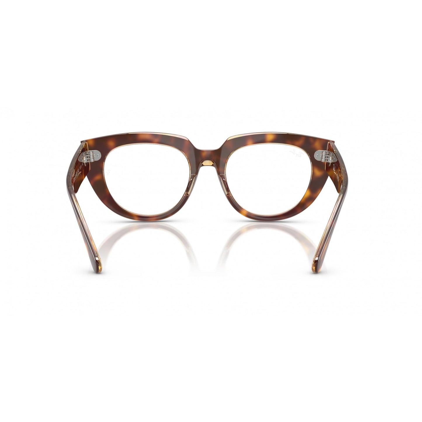 Ray-Ban 0RX5586