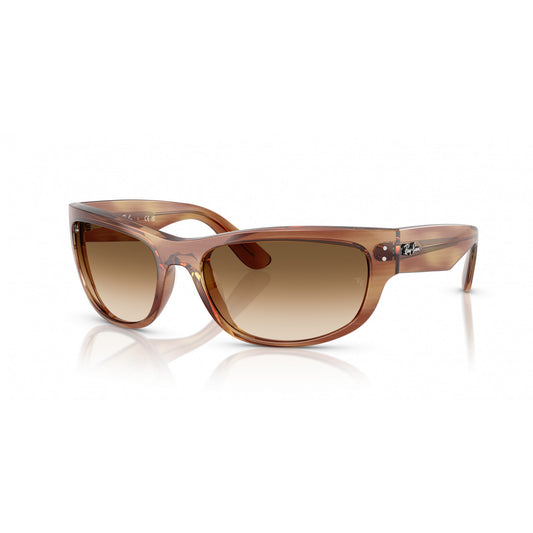 Ray-Ban 0RB2289