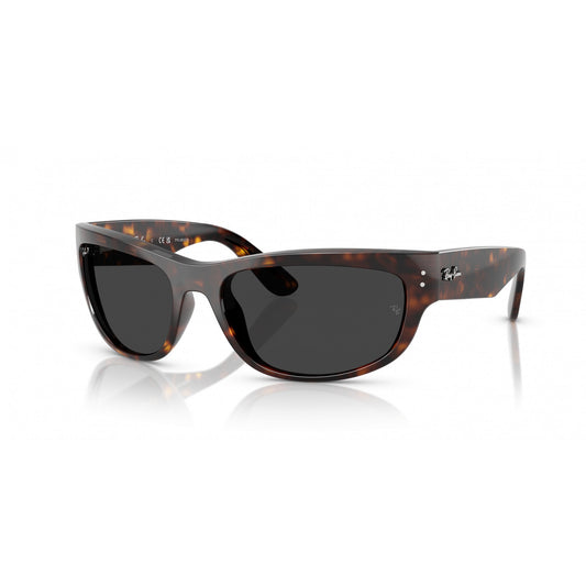 Ray-Ban 0RB2289