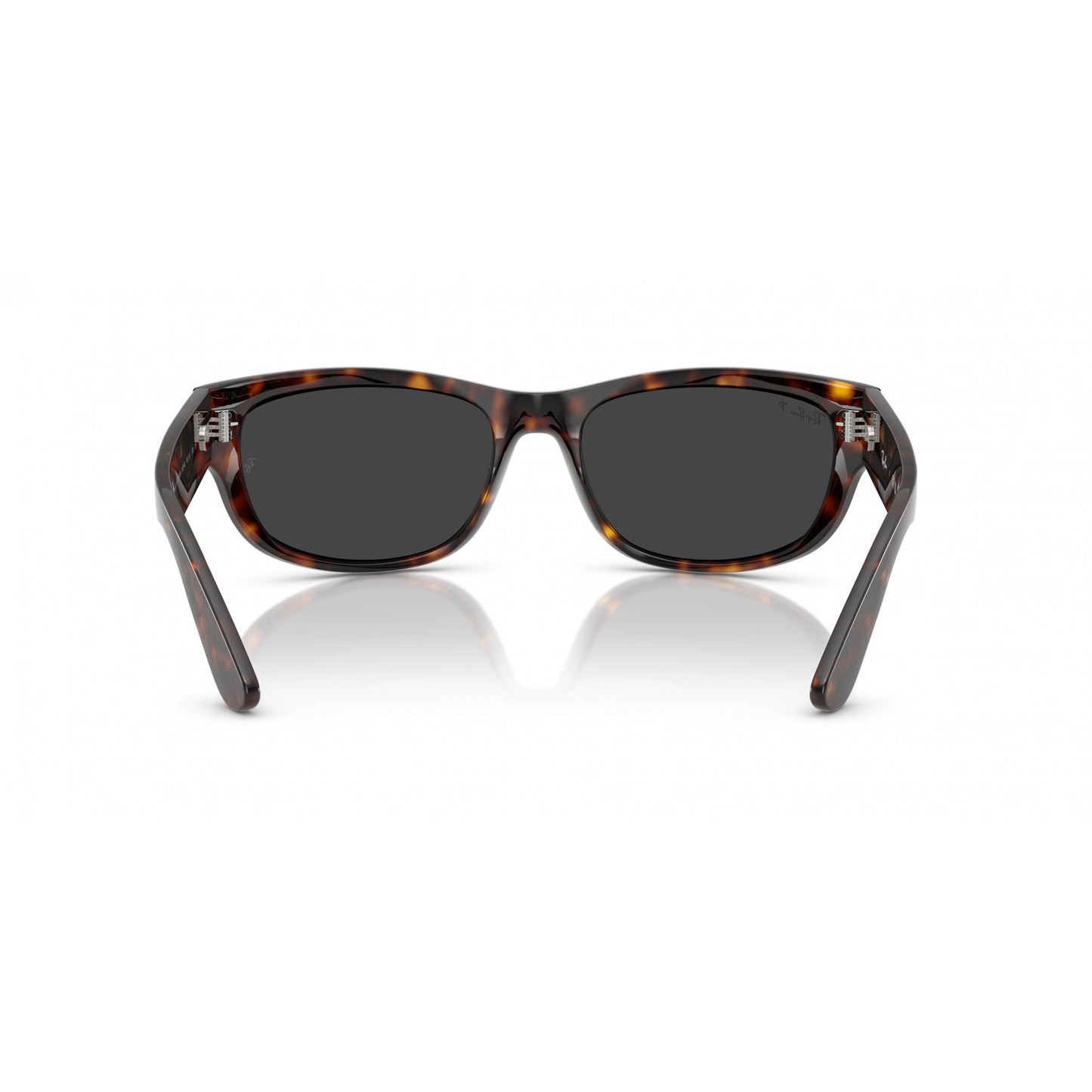 Ray-Ban 0RB2289