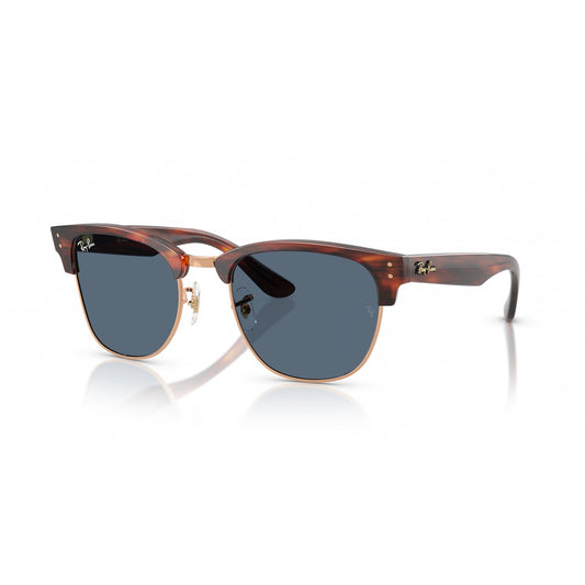 Ray-Ban 0RBR0504S