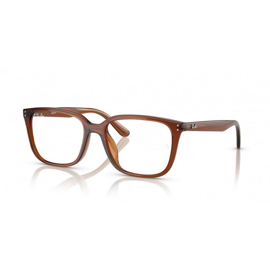 Ray-Ban 0RX7248D