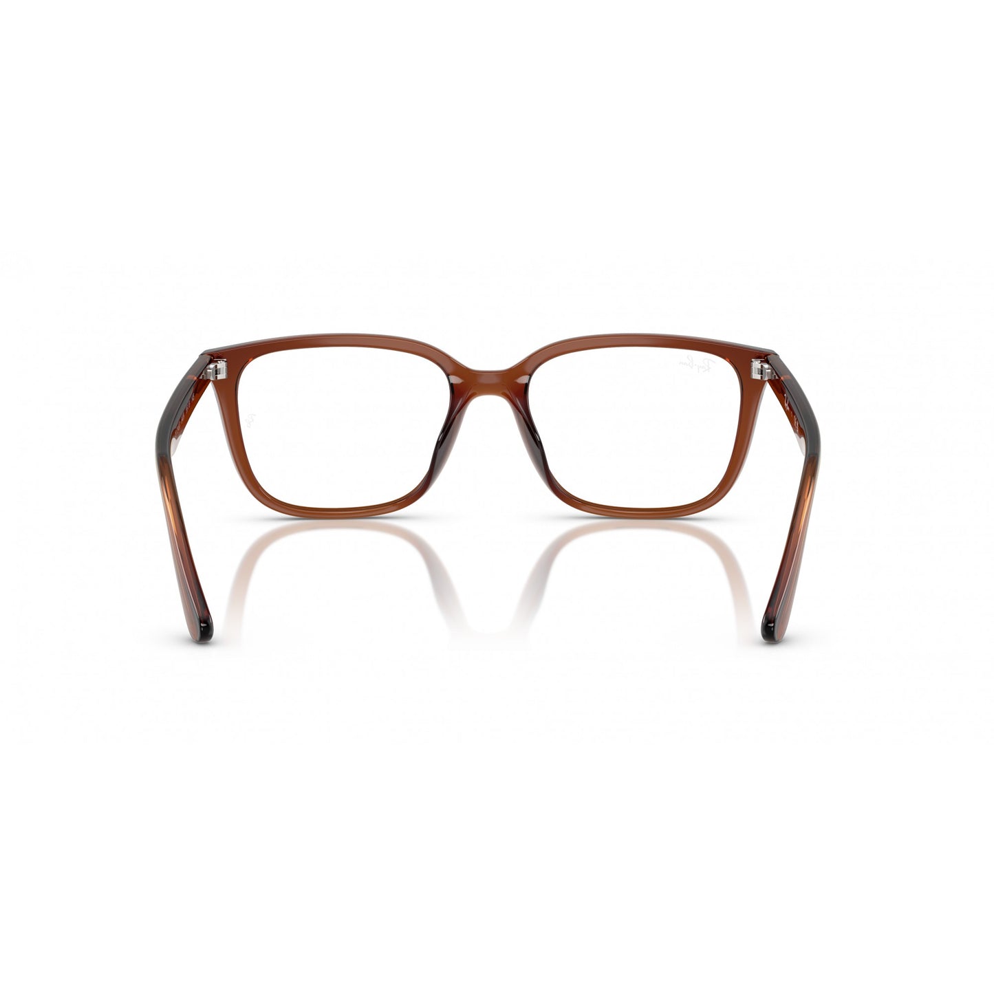 Ray-Ban 0RX7248D