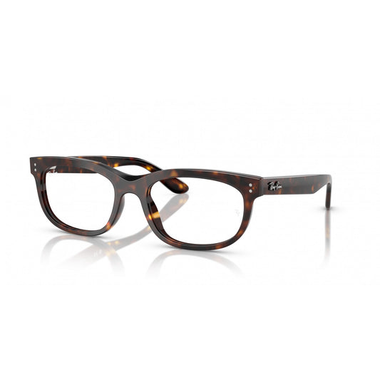 Ray-Ban 0RX5489
