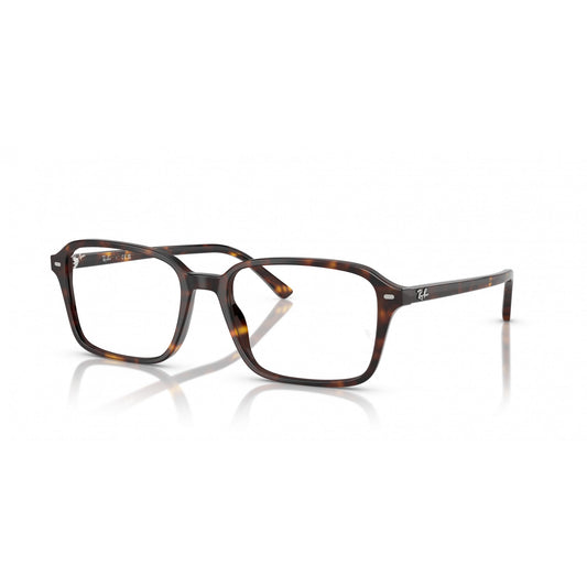 Ray-Ban 0RX5431