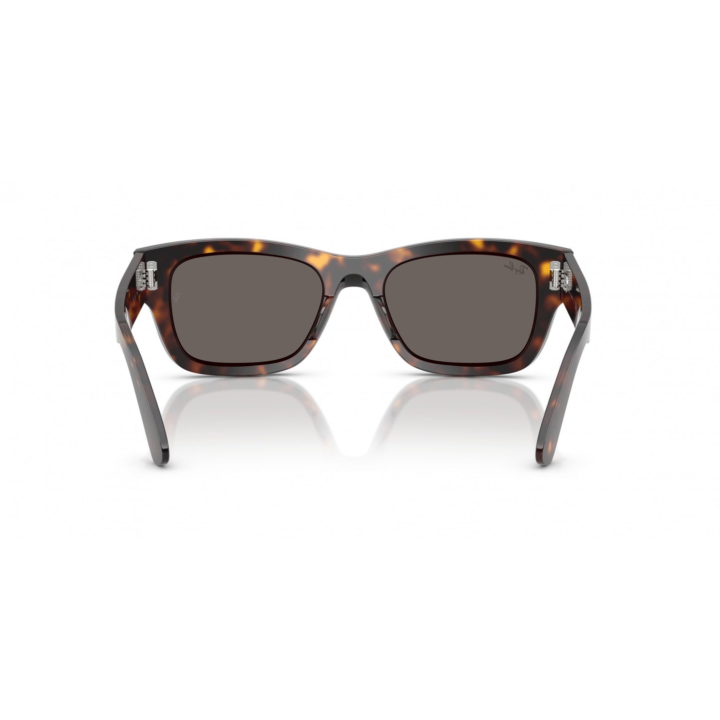Ray-Ban 0RB7683S