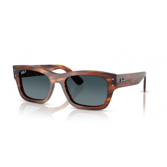 Ray-Ban 0RB7683S