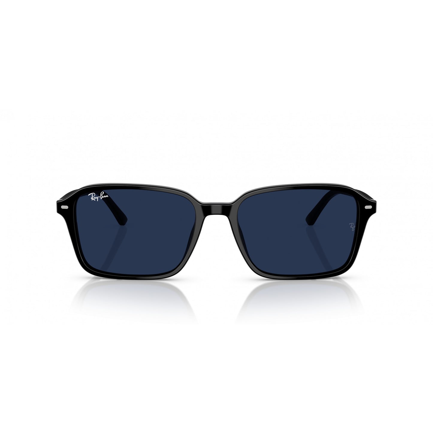 Ray-Ban 0RB2231