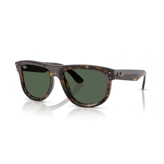 Ray-Ban 0RBR0501S