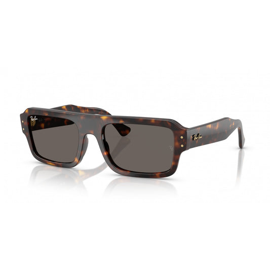 Ray-Ban 0RB4454