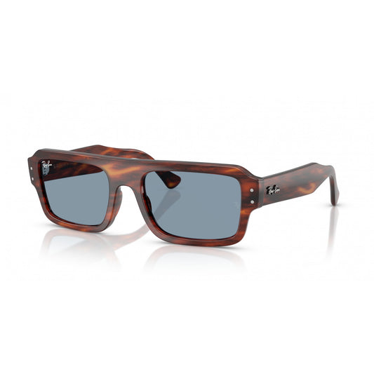 Ray-Ban 0RB4454