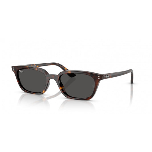 Ray-Ban 0RB4456