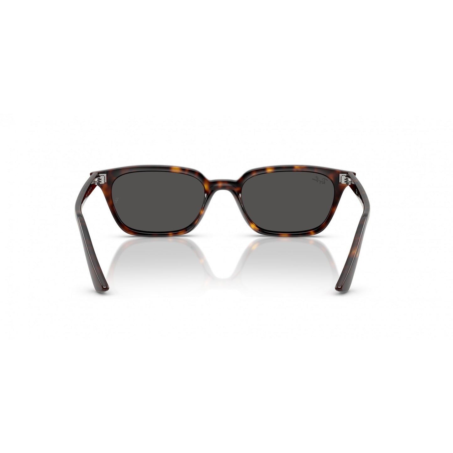 Ray-Ban 0RB4456